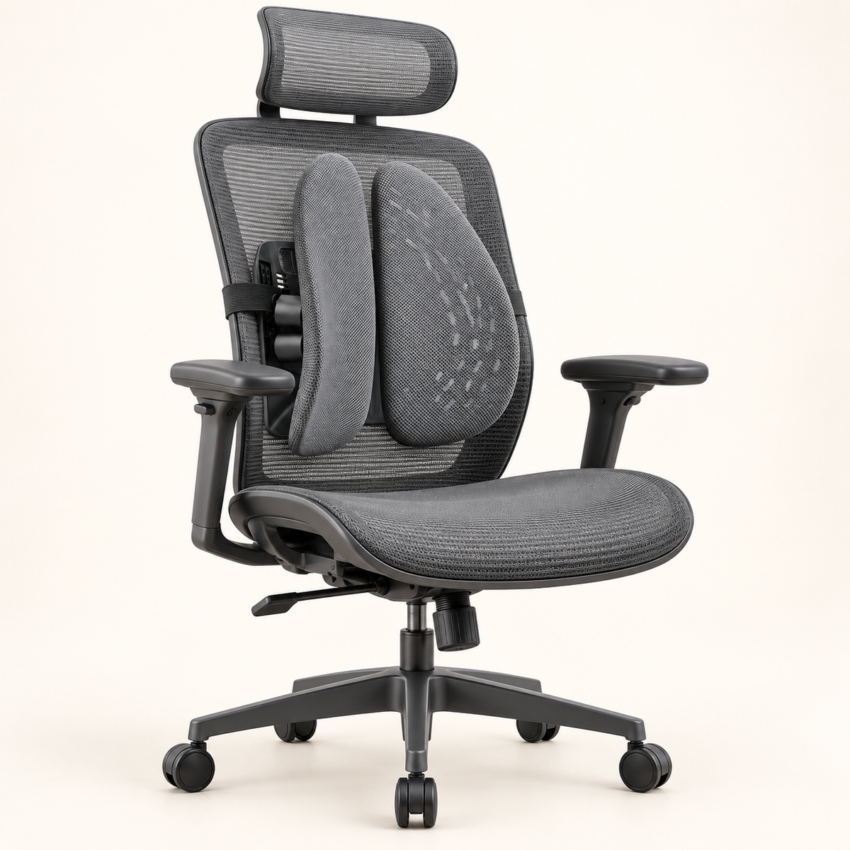 The ErgoWing Lumbar Support