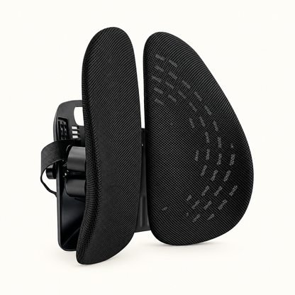 The ErgoWing Lumbar Support